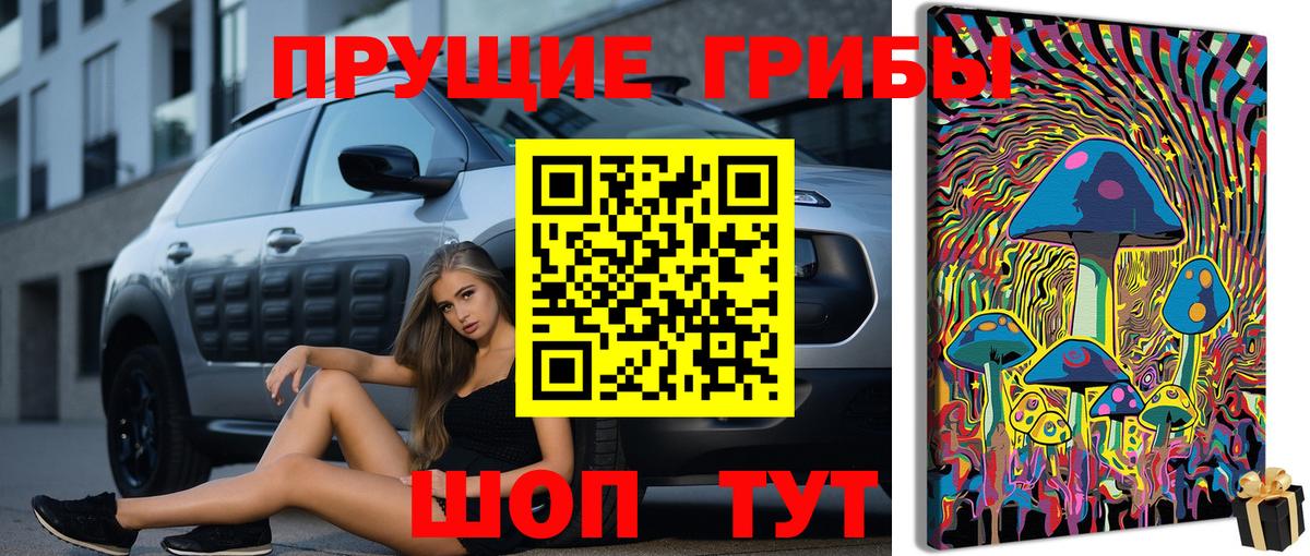 Псилоцибиновые грибы Cubensis Нефтекамск
